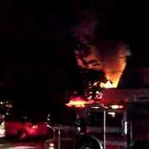 Meet your Posher, Sophie